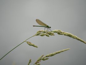 0601 morgens am Gardon - später Salin-de-Giraud